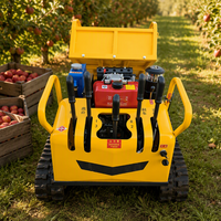 Mini chariot de transport sur chenilles en caoutchouc de 0,8 à 1,0 tonne, moteur diesel, non basculant, pour travaux de jardinage et de construction