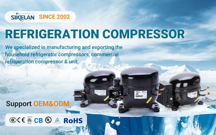 QD75YG SIKELAN 1/6 Hp R600a 220V Compressor for Refrigerators