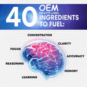 Kapsul nootropik Premium suplemen otak Vegan nootropika kapsul meningkatkan dukungan otak & memori kognitif - Product Image 6