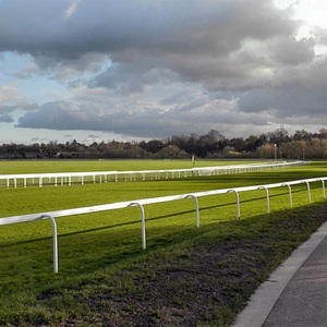 Paardensportcompetitie Hoge Sterkte Pvc-Railpanelen Weerbestendige Anti-Corrosie Veiligheidshekwerk Paardenrace-Locatie Hek - Product Image 3