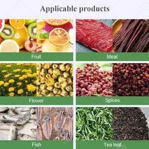 Bandeja Papa Invernadero Horno Deshidratador Pure Secador De Fruta Gas Gas Food Hot Air Bely Cashew Dry a Four - Product Image 6