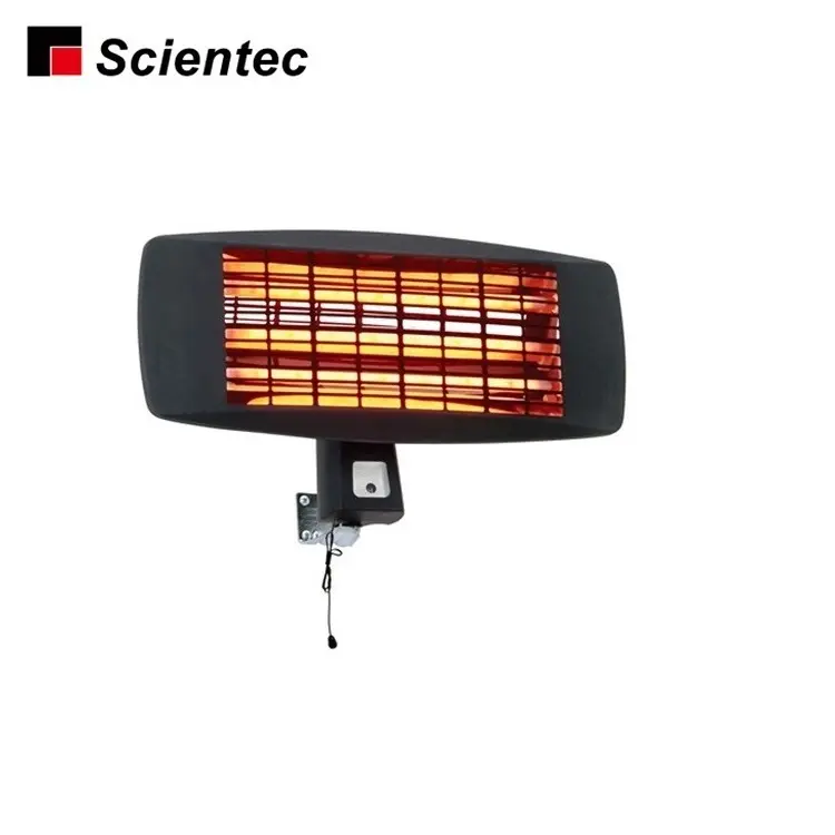 Hot Sell Ce/Gs/Rohs Approved Outdoor And Indoor Wall Mount Electronic Quartz Infrared Heater