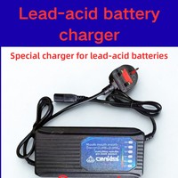 Instruments de test électrique, détecteur de métaux, testeur de batterie, moniteur, déchargeur V2L, analyseur, compteur, indicateur de niveau
