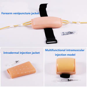 Modèle de veste d'entraînement à la ponction veineuse main et avant-bras modèle d'injection musculaire multifonctionnel d'entraînement à l'injection intradermique - Product Image 3