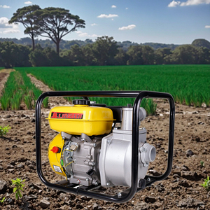 Pompe à eau portable à essence pour les Philippines, ensemble moteur, approvisionnement pour l'agriculture, prix usine LBWP20 - Product Image 4