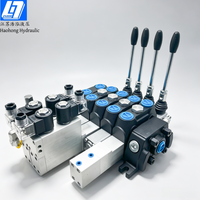 Vanne de commande directionnelle sectionnelle DCV100 100 litres/min bidirectionnelle 315 bars manuelle/pneumatique/électro-hydraulique avec garantie d'un an