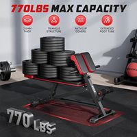 Chaise romaine de premier rang Équipement de fitness Chaise romaine de qualité Fitness populaire Bodybuilding