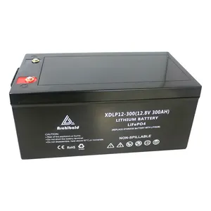 6000 Cycle Life lithium battery Heated Battery - charging under -20 degrees- 12V 300AH for Motorhomes and Solar