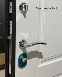 Puerta de madera moderna rusa/turca, puerta antirrobo, <span class=keywords><strong>entrada</strong></span> de estilo asiático <span class=keywords><strong>Central</strong></span>, apartamento de Hotel impermeable y antirrobo, Villa - Product Image 5
