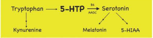 EU/chúng tôi kho số lượng lớn nhà Máy chiết xuất với phong phú <span class=keywords><strong>5</strong></span>-hydroxytryptophan <span class=keywords><strong>5</strong></span>-<span class=keywords><strong>htp</strong></span> 98% <span class=keywords><strong>hplc</strong></span> trong <span class=keywords><strong>griffonia</strong></span> chiết xuất hạt bột - Product Image 3