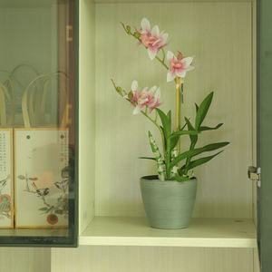 低価格 ホットセール ヴィンテージ フラワーポット プラスチック製 ショートラウンド型 小型プランター デスクトップ 家庭装飾 庭 屋内 屋外用 - Product Image 2