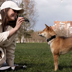 <span class=keywords><strong>Collar</strong></span> de Adiestramiento para Perros, Ecológico, de Plástico, Recargable, Paquete de 2, Personalizable al por Mayor - Product Image 5