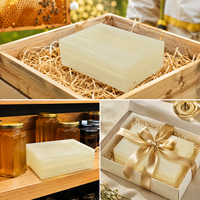 Boîte de stockage de miel de qualité alimentaire pour cadres de ruche, cassette à miel, conteneur, outils d'apiculture