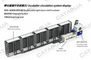 Sản xuất bán buôn nuôi trồng thủy sản thiết bị xử lý nước máy móc cá rô phi Cá trứng lồng ấp dọc lồng ấp - Product Image 3
