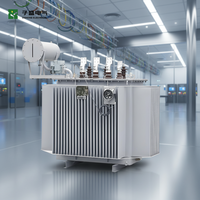 Transformateur toroïdal à huile ZISHENG série S13, haute efficacité, faible perte, 200 kVA, 10 kV, triphasé, 50/60 Hz, IEC CE, résistant à la corrosion