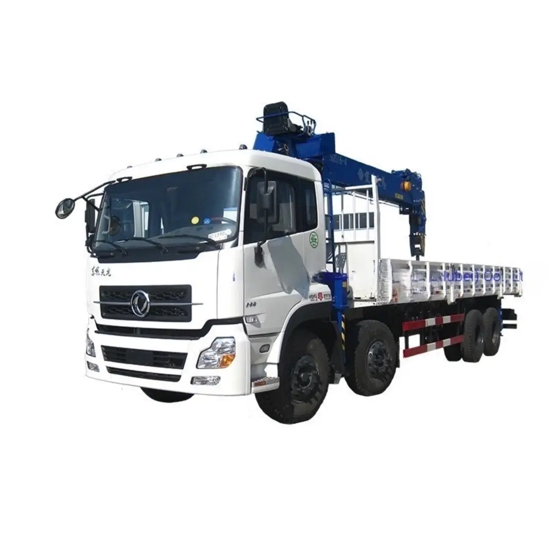 رافعة ثقيلة 8X4 260HP Dongfeng شاحنة رافعة جديدة مركبة 12t مع شاحنة ذراع مستقيمة مع 10ton