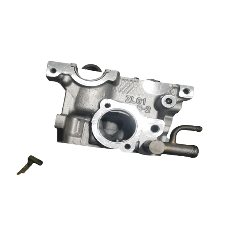 仮出品 高品質]ライブディオZX/DioZX前期型[SK50M/SK50MR/SK50MS/SK50MT