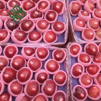 Vente chaude de Chine Pommes Gala fraîches biologiques/Pomme rouge/Pomme Fuji Prix