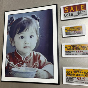 13.3" E Ink Display Low Power Smart Digital Photo <b>Frame</b> Image For Home Decoration Art <b>Gallery</b> Commercial Advertising Board - Product Image 1