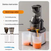 Koudgeperste zelfreinigende 300ml roestvrijstalen elektrische slowjuicer met stekker, voedingsstoffenmolen voor gebruik in de auto