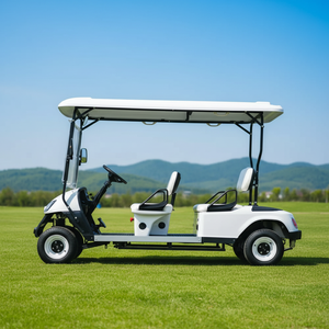 Voiturette de golf électrique 4-6 places avec sièges de luxe pour attraction touristique - Product Image 2