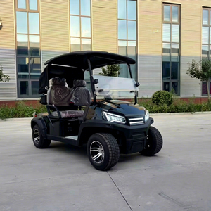 Voiturette de golf électrique noire 2 places, homologuée pour la route, personnalisable, avec certificat CE, en vente. - Product Image 1