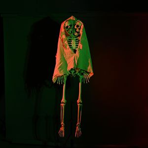 DB Clown squelette à deux têtes petits accessoires en tissu écologique décorations extérieures célébrations de vacances de mariée écologiques - Product Image 2