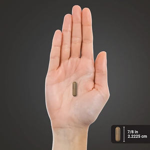 OEM kapsul organik <span class=keywords><strong>Guarana</strong></span> kapsul penguat energi alami kapsul <span class=keywords><strong>Guarana</strong></span> ekstrak ditingkatkan kinerja fisik kapsul - Product Image 3