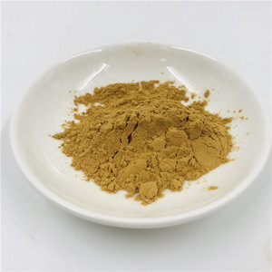 ペパーミント葉エキス純粋天然植物エキス10:1粉末価格バルク - Product Image 2