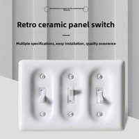 Interruptor de Pared de Palanca Doble de Cerámica Estilo Vintage para Puerta/Hall, Hecho a Medida para Uso Doméstico, Origen Fuzhou
