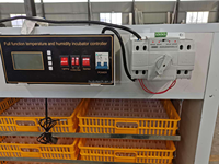 Incubateur solaire automatique pour 1056 œufs de poulet, canard, oie, caille, taux d'éclosion élevé, machine d'incubation avicole à économie d'énergie HJ-SI7