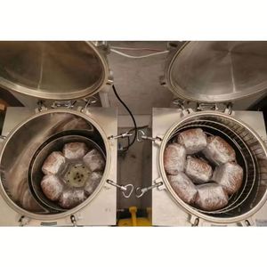 Sterilizzatore a vapore industriale con capacità Multiple per sacchetti a Base di funghi verticali e cottura a pressione - Product Image 3