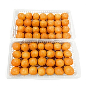 Naranjas Valencia Navel Frescas 2026, Cítricos Orgánicos Dulces y Jugosos de Primera Calidad para Exportación al por Mayor desde China - Product Image 2