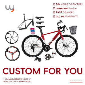 Vélo de route en magnésium 700c à freins à disque linéaires, vitesses variables, guidon droit/coudé pour adultes M-JT288 Magnésium Fra - Grande Vente - Product Image 6