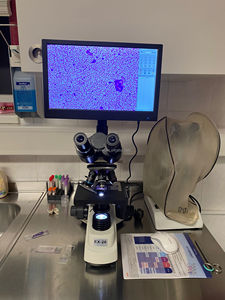 Microscopio Trinocular Digital LCD EUR VET de Bajo Precio para Laboratorio Universitario - Product Image 4
