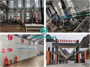 B.C.I kaynağı afrika erik ağacı özü afrika erik özü afrika Pygeum tozu - Product Image 6