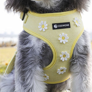 Set tali kekang anjing pribadi mewah dapat disesuaikan Logo khusus ramah lingkungan bunga aster kuning kalung tali hewan peliharaan tanpa tarik luar ruangan - Product Image 1