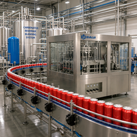 Ligne de production de machines de remplissage de boissons gazeuses en canettes d'aluminium de petite taille