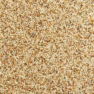 Mezcla de Alimentos Orgánicos <span class=keywords><strong>para</strong></span> Aves al por Mayor, Semillas con Alto Contenido de Proteínas <span class=keywords><strong>para</strong></span> Loros, Guacamayos, Cockatiels, Certificación GACC, Precio de Fábrica, Suministro a Granel, Alimento <span class=keywords><strong>para</strong></span> Mascotas - Product Image 4