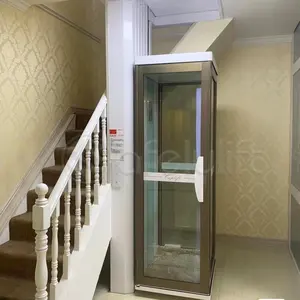 Malezya'da satılık 2-4 katlı kapalı açık elektrikli konut dikey asansör ucuz yolcu küçük ev kaldıracı