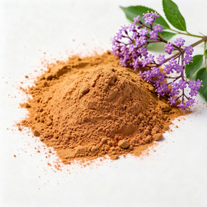 Polvo Puro de Saúco, Extracto Natural de Bayas en Polvo, Grado Alimenticio a Granel OEM para Bebidas Saludables y Materias Primas para Procesamiento de Alimentos - Product Image 1