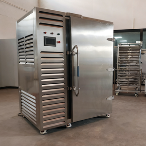 Di grandi dimensioni Rapido Congelamento di <span class=keywords><strong>Pasta</strong></span>/<span class=keywords><strong>Pizza</strong></span>/cibi Cotti Esplosione Refrigeratore Congelatore - Product Image 1