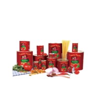 Sauce tomate 28-30% Brix, marque privée personnalisée, concentré double de tomate en conserve métallique 70g avec 20%-100% de pureté