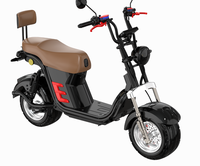 Trottinette électrique urbaine SUMEIDE H20, batterie lithium 60V 1500W 20.8AH, moteur sans balais en alliage d'aluminium étanche, double suspension
