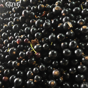 <span class=keywords><strong>Prix</strong></span> d'exportation en gros Chine pour smoothies et desserts / Fruits congelés de qualité supérieure, meilleur <span class=keywords><strong>prix</strong></span>, cassis frais IQF congelé - Product Image 4
