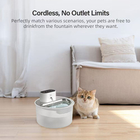 Fontaine à eau pour animaux de compagnie sans fil OEM 4L à piles avec capteur radar, distributeur d'eau pour animaux, fontaine à eau pour chien sans fil