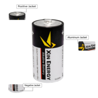 Pile alcaline XIN ENERGY 1,5 V format C LR14, garantie sans fuite, certifiée CE RoHS pour caméras de sécurité sans fil