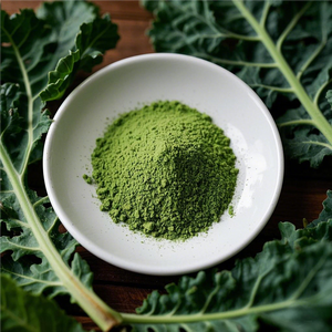 유기농 순수 녹색 커피 콩 분말 식품 등급 자연 체중 감량을위한 갓 지상 벌크 비타민 허브 추출물 병 드럼 - Product Image 4