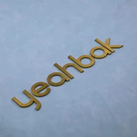Lettres en acier inoxydable 3D surélevées personnalisées, logo rétroéclairé, décoration murale pour la maison, le salon, le magasin, la réception