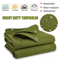 Tissu imperméable UV de bâches de toile verte résistante de 6 'x 8' pour des bâches de modèle enduit d'utilisation d'agriculture pour des rideaux et des auvents
